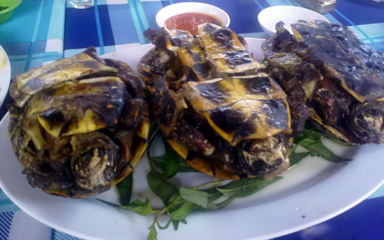 Ngon tuyet voi dac san Ca Mau